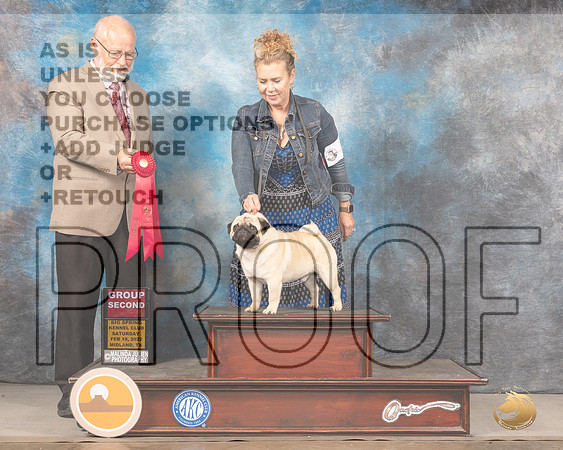 Pug #? Sat G2 Judge Gary AndersenMMJ_4620_Mdlnd2022_HR3