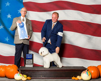 Bichons Frises #5 Sat G1 Mathog Robert Deena R Wolfe L Bettis E Cha Judge Mr Allen L Odom