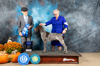 German Shorthaired Pointer #9 Sat G1 Judge Dr Dan Dowling