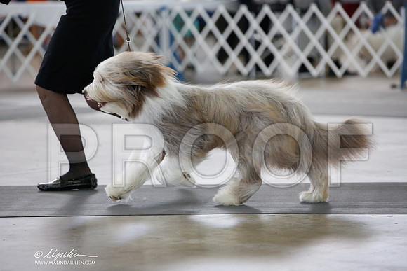 _JJ_5375-DallasJul2014-HR3