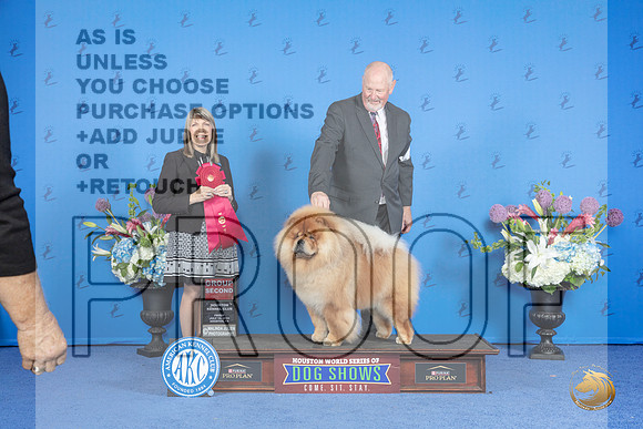 Chow Chow #5 FRI G2 Judge Angela Pickett__JP_9550_Houston_2024_HR3