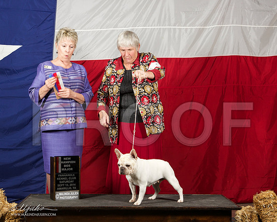 _ST_1714-AmarilloSep2014-HR3