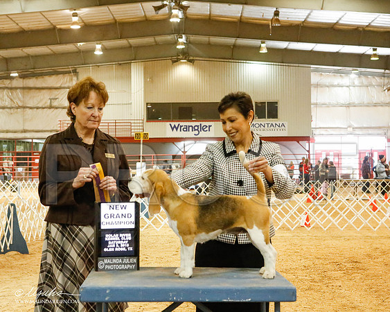 _MJ_5248-2-GlenRoseJan2015-HR3