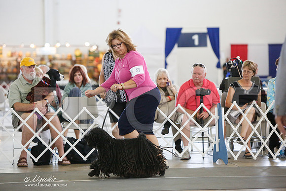 _JJ_3131-DallasJul2014-HR3
