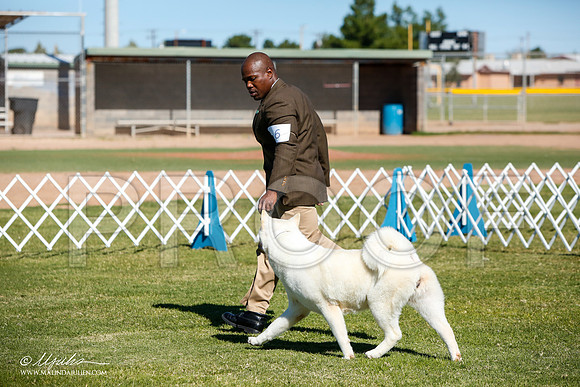 _JJ_4482-AlamogordoOct2014-HR3