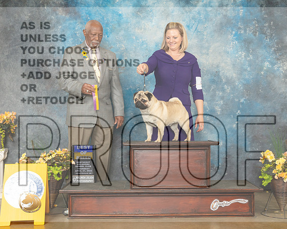 Pug #7 Thurs BOB Judge Eugene Blake-MMJ_9603-NWARK2022-HR3
