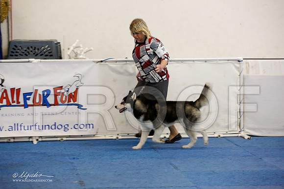 _M3_0023-AddisonHuskyMar2015-HR3