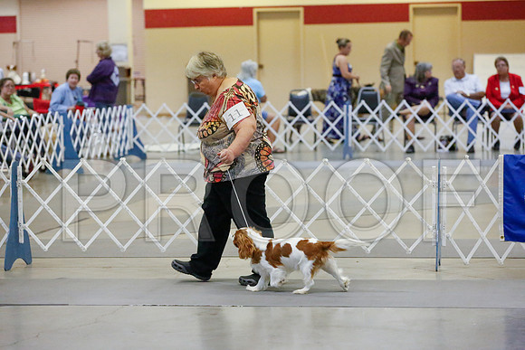 _JJ_1021-AmarilloSept2014-HR3