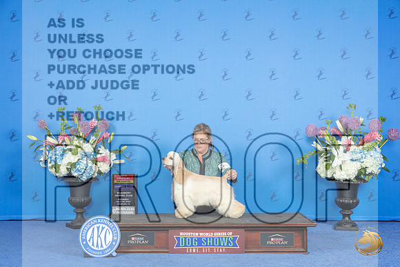 Cocker Spaniel Ascob #12 SAT WB BOS NC Judge Ronald Freeman__JP_0719_Houston_2024_HR3