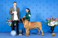 Mastiff #7 FRI G4 Judge Ronald Freeman