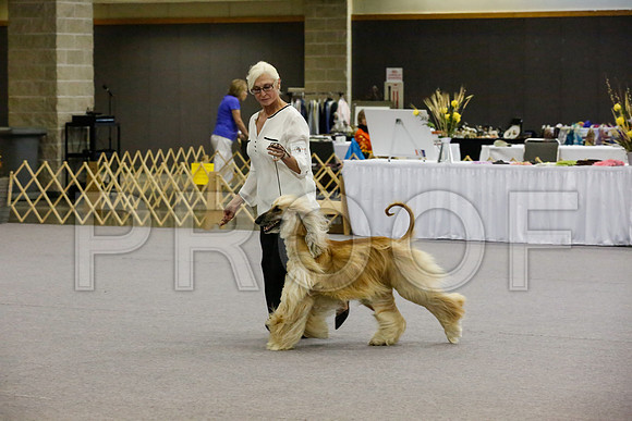 _JJ_8168-AfgBeltonOct2014-HR3