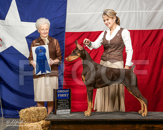 _ST_2101-AmarilloSep2014-HR3