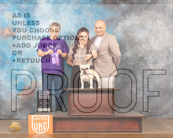 French Bulldog #122 SPOT Judge Nancy AndersonMMJ_5650_Lngvw2022HR3