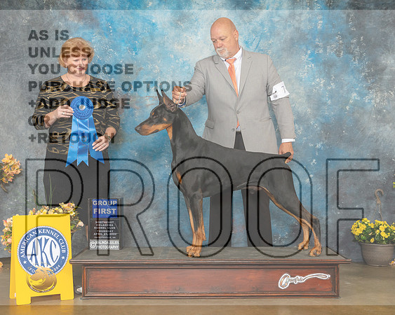 Doberman Pinsher #7 Thur G1 Judge Betty Pollock-MMJ_8889-NWARK2022-HR3