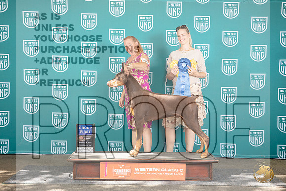 Dobermann Pinscher #409 Sun G1 Judge Sharron Griffin__JP_1977_Longview WA_2024_HR3