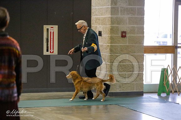 _LH_3074-BeltonJan2015-HR3