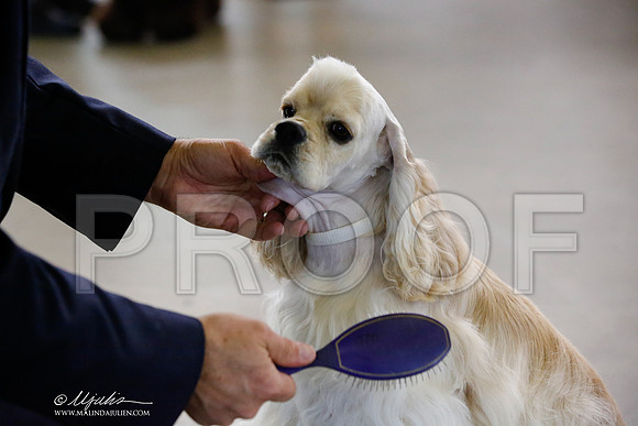 _JN_2056-DallasJul2014-HR3