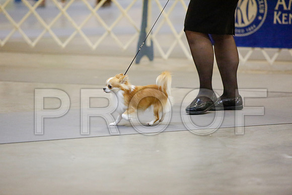 _JJ_2655-AmarilloSept2014-HR3