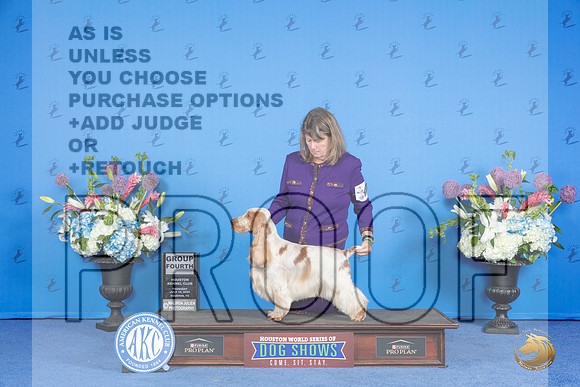 English Cocker Spaniel #17 THUR G4 Judge Nancy Liebes__JP_0814_Houston_2024_HR3