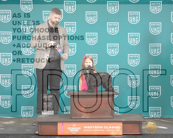Chinese Crested #282 Sat 1st Jr Judge Kevin Carroll _JP_1348e_UKCLongviewWA_2024-HR3