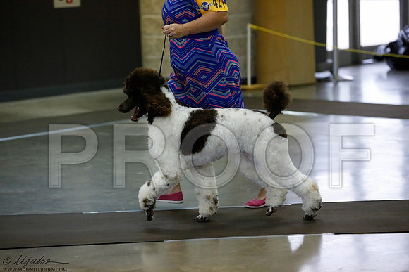 _J3L2553-BeltSep2014-HR
