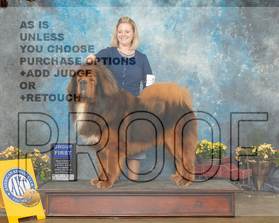 Tibetan Mastiff #5 Sat G1 Judge John Ramierz-MMJ_1013-NWARK2022-HR3