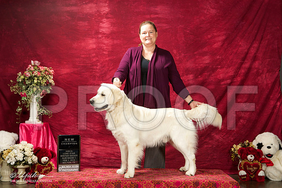 _ST_2883-BeltonJan2015IABCA-HR3