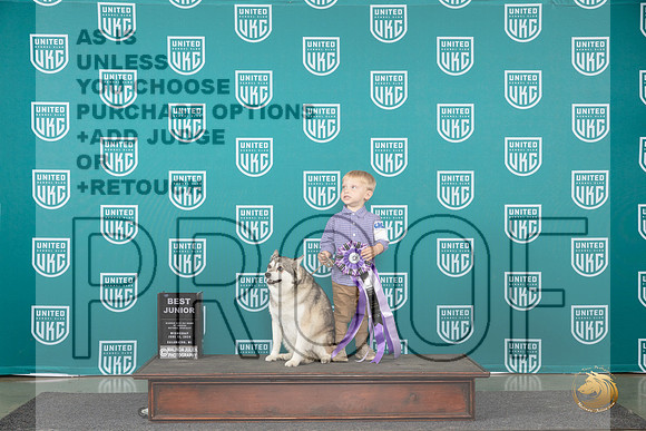Alaskan Klee Kai #161 Wed BJr Judge Brenda Landers__JP_0411_Premier_2024_HR3