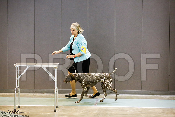 _J3L0612-BeltSep2014-HR