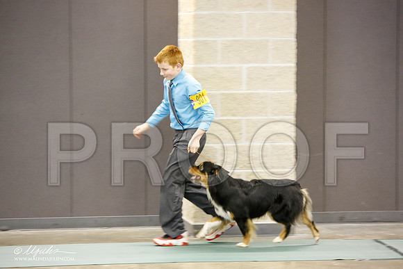_JN_1325-BeltonJan2015-HR3