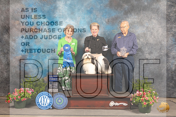 Havanese #5 Sun G1 Judge Anne Bolus_MJ_1738_SA_2022_HR3