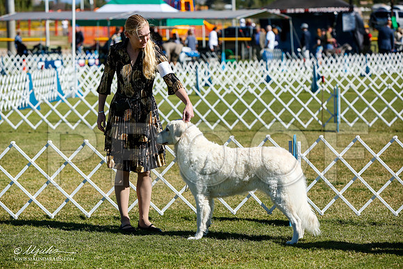 _JJ_4533-AlamogordoOct2014-HR3