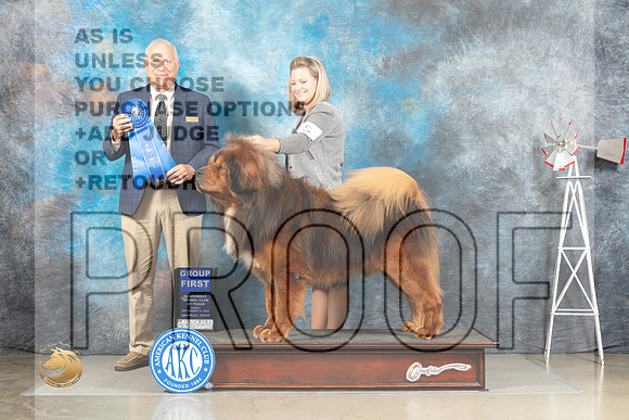 Tibetan Mastiff #5 Fri G1 Judge Eric Liebes_MJ_4042_Amarillo_2022_HR3