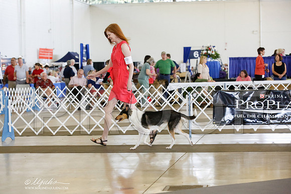 _CK_9522-DallasJul2014-HR3