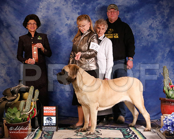 Mastiff-5516-GRJan14-HR