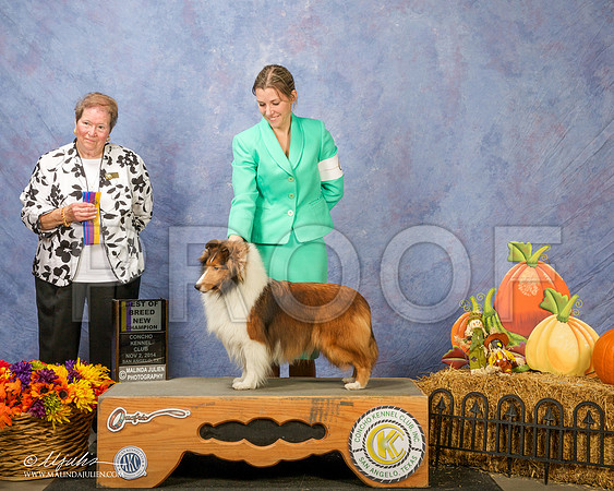 _CL_4628 - Version 2-SanAngelo2014-HR3
