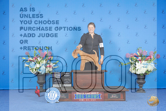 Lakeland Terrier #5 FRI WD BOW Judge Sandra Lex__JP_9483_Houston_2024_HR3