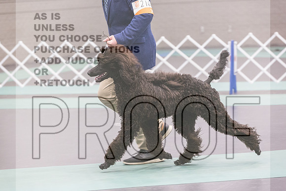 Poodle Std Rings Sat_JJL_8891_UKCLNGVIEWOCT2024_2024_HR3