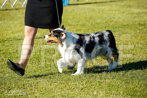 _JN_7795-AlamogordoOct2014-HR3