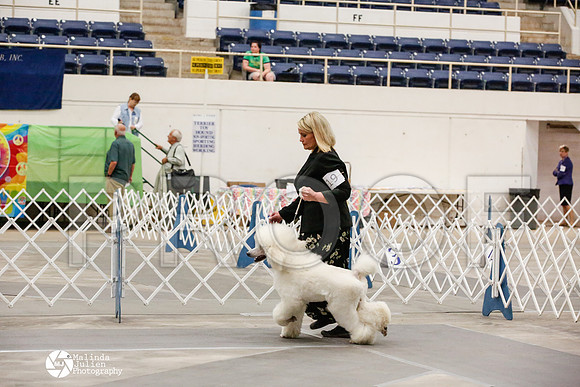 _JJ_0435-AblnMay2014-web
