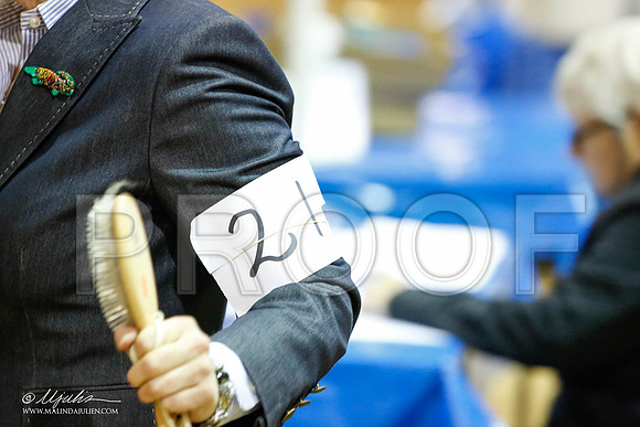 _JN_3813-2-GlenRoseJan2015-HR3