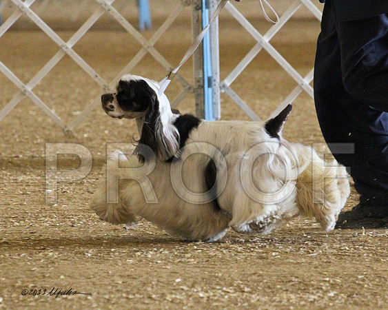 CkrParti-0356