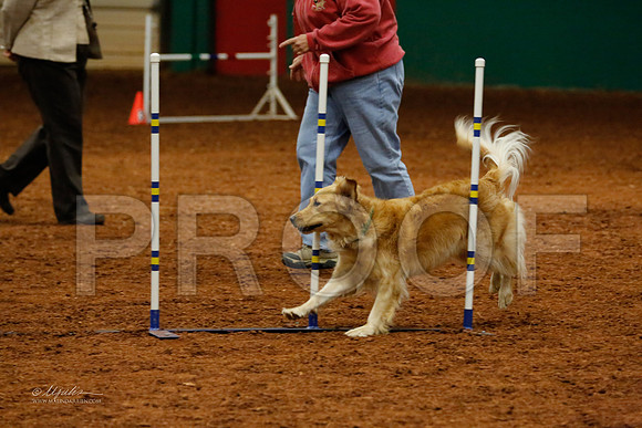 JwwOpen20-3118-WFOct2013-HR