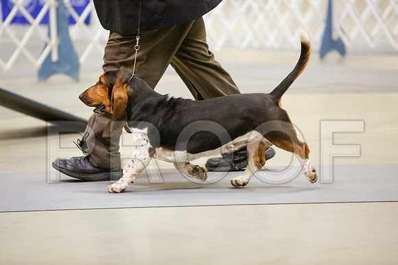 _JN_9097-AmarilloSept2014-HR3