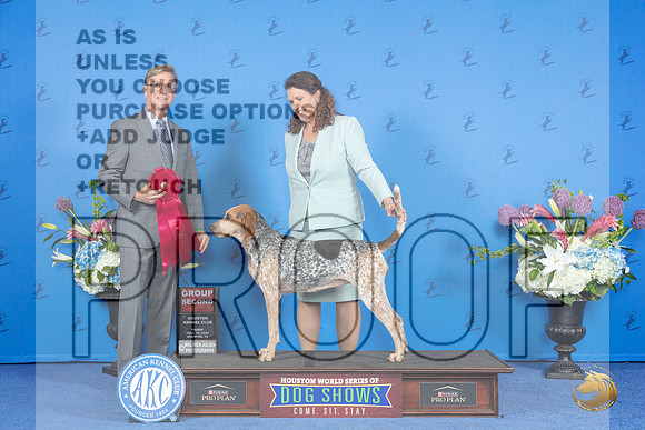 American English Coonhound#6 FRI G2 Judge Douglas Jognson__JP_9379_Houston_2024_HR3