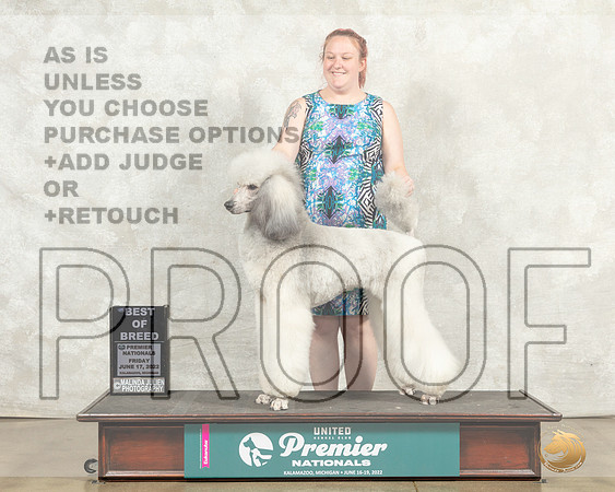 Poodle Std MC Fri BOB Judge Pam Perdue__MJ_8096_Premier_2022_HR3
