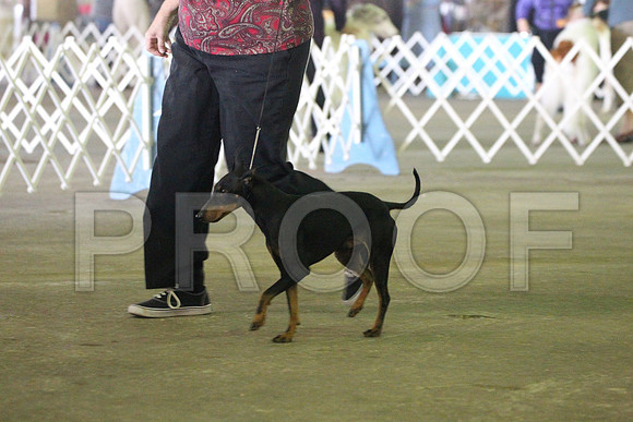 MJS_5753