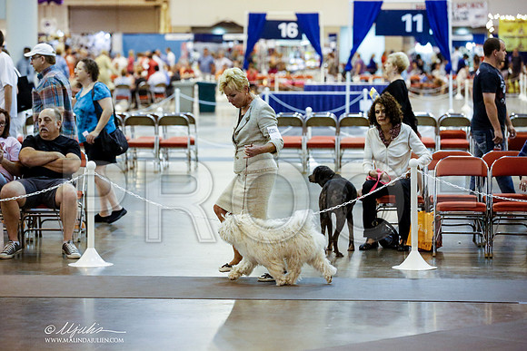 _JN_6514-HstnJul2014-HR3