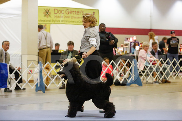_JN_8026-AmarilloSept2014-HR3