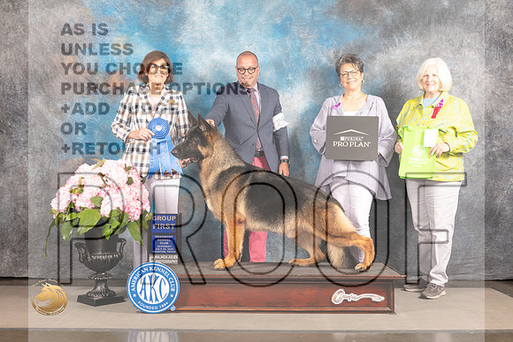 German Shepherd Dog #29 Sat G1 Judge Carrie Chase_MJ_7055_Houston_2022_HR3